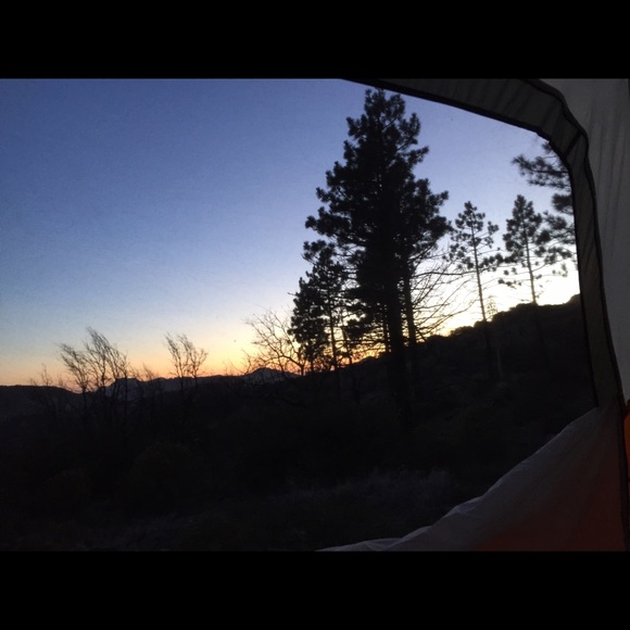 Meet your Posher, Cassidy - Picture 2 of 2