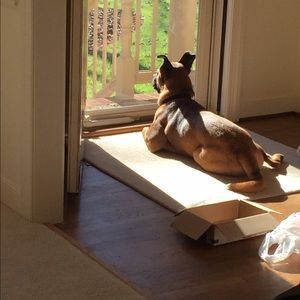 Meet your Posher, Elizabeth