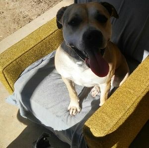 Meet your Posher, Adriana