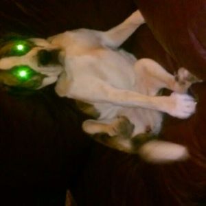 Meet your Posher, Jerry