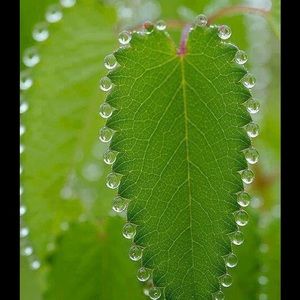 Meet your Posher, Cheryl