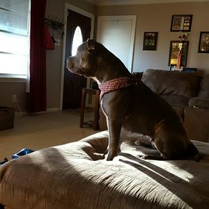 Meet your Posher, Celeste