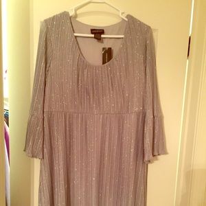 🎉🎉HP 2/29/16🎉🎉 NWT Sparkly empire waist dress