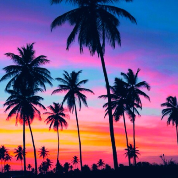 ☀️🌴☀️🌴