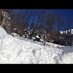 Meet your Posher, Tahnia