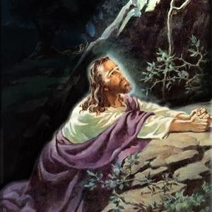 Meet your Posher, Debbie denton