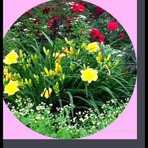 Meet your Posher, Cassie