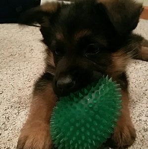 Meet your Posher, Amber