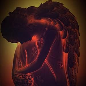 Meet your Posher, Carol greg