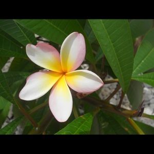 Meet your Posher, Claudia