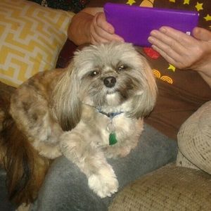 Meet your Posher, Leeann