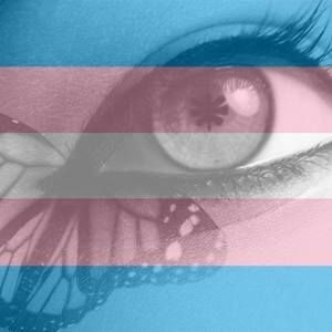 Meet your Posher, Avery