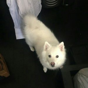 Meet your Posher, Rebecca