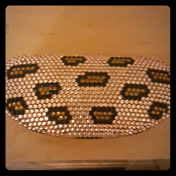 Eye glass case/clutch