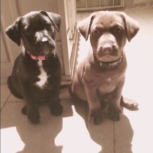 Meet your Posher, Sonita