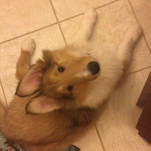 Meet your Posher, Betty