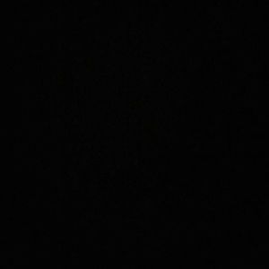 Meet your Posher, Harrison