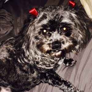 Meet your Posher, Alisa