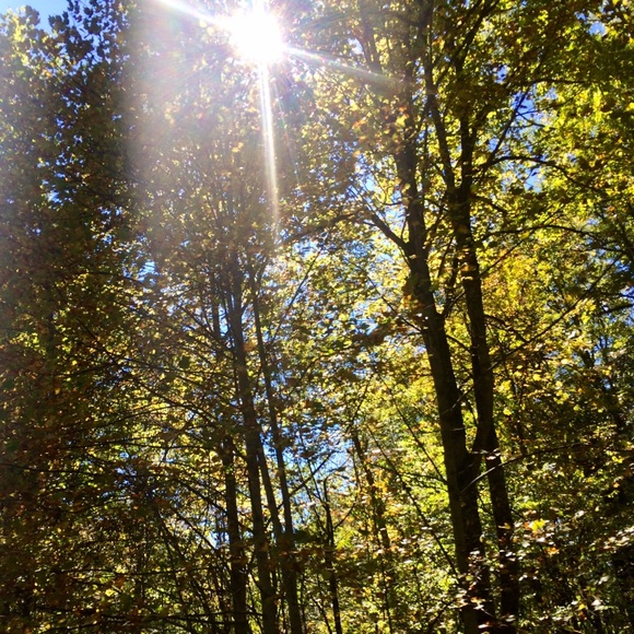 DELETING THE APP - Picture 1 of 1