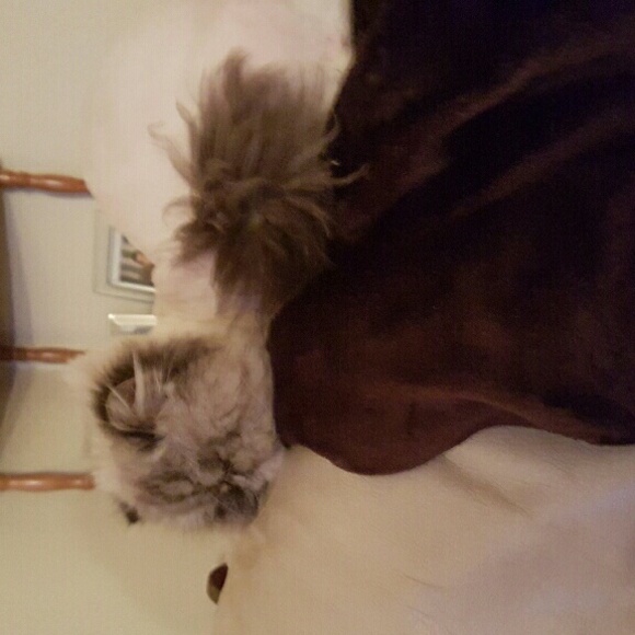 Meet your Posher, Donna - Picture 1 of 1