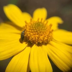 Meet your Posher, Danelle