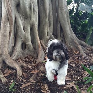 Meet your Posher, Lydda