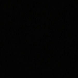 Meet your Posher, Will