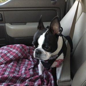 Meet your Posher, Nancy-lynn