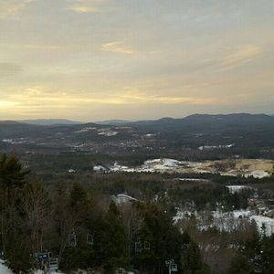 Meet your Posher, Daina