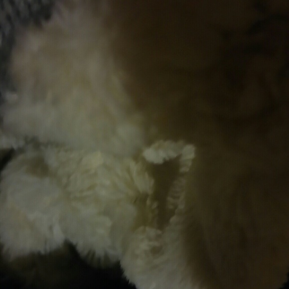 ISO - Picture 3 of 3