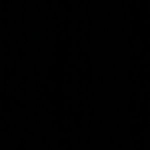 Meet your Posher, Bryan