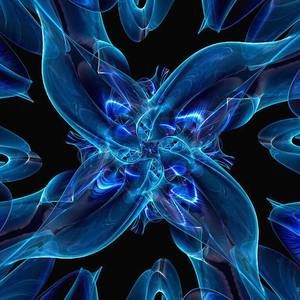 Meet your Posher, Lora