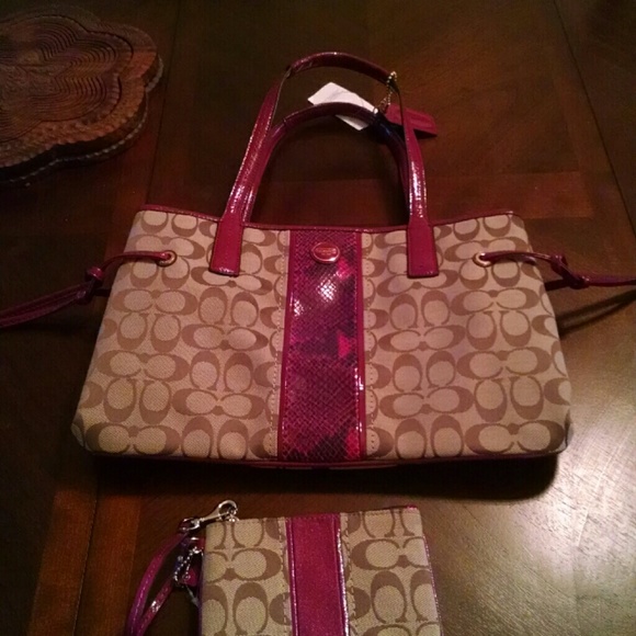 Brand new coach purse and matching wallet - Picture 1 of 2