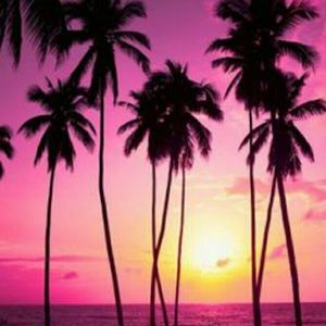 Meet your Posher, Damont