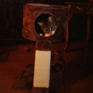 Meet your Posher, Brandi