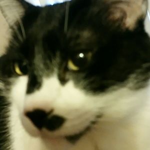 Meet your Posher, Kristina