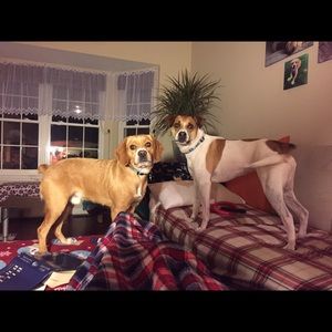 Meet your Posher, Zuzka