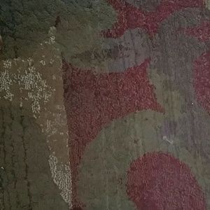 Meet your Posher, Patti