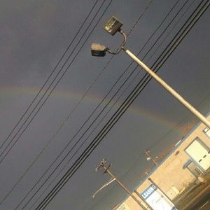 Meet your Posher, Trudy