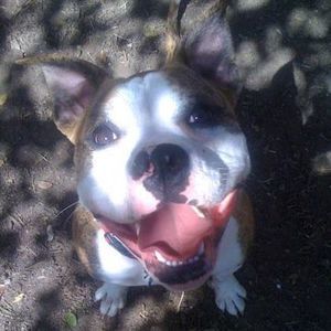 Meet your Posher, Tamara marie