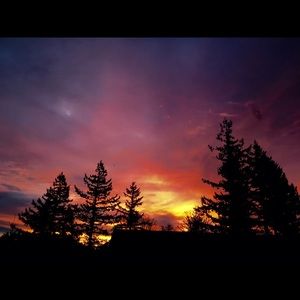 Meet your Posher, Hayden