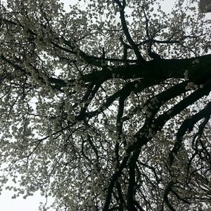 Meet your Posher, Cecily