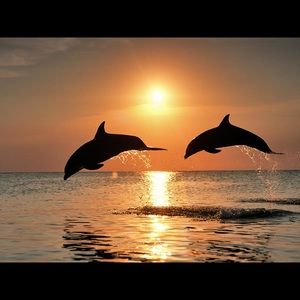 Meet your Posher, Hali