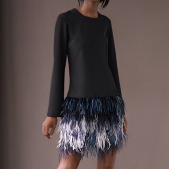 NWT Elizabeth and James dress