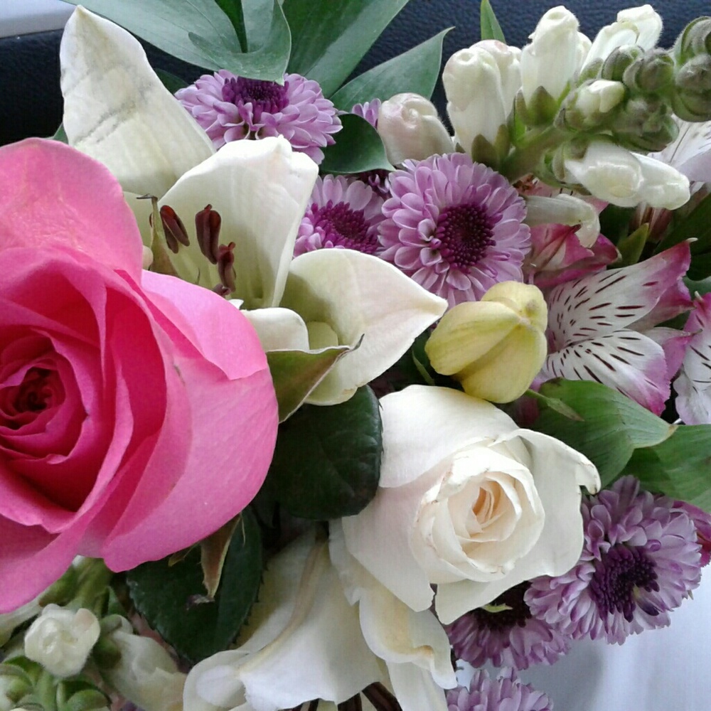 Meet your Posher, Ashley