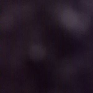 Meet your Posher, Jayla