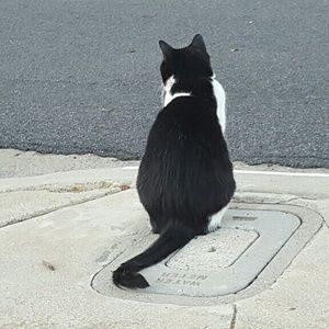 Meet your Posher, Julia