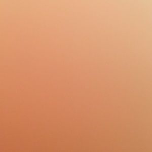 Meet your Posher, Jade