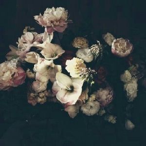 Meet your Posher, Rose