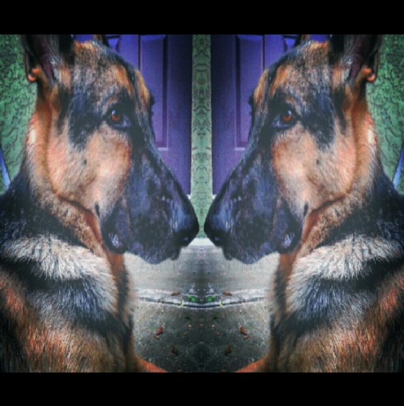 Zeus says we consider offers!